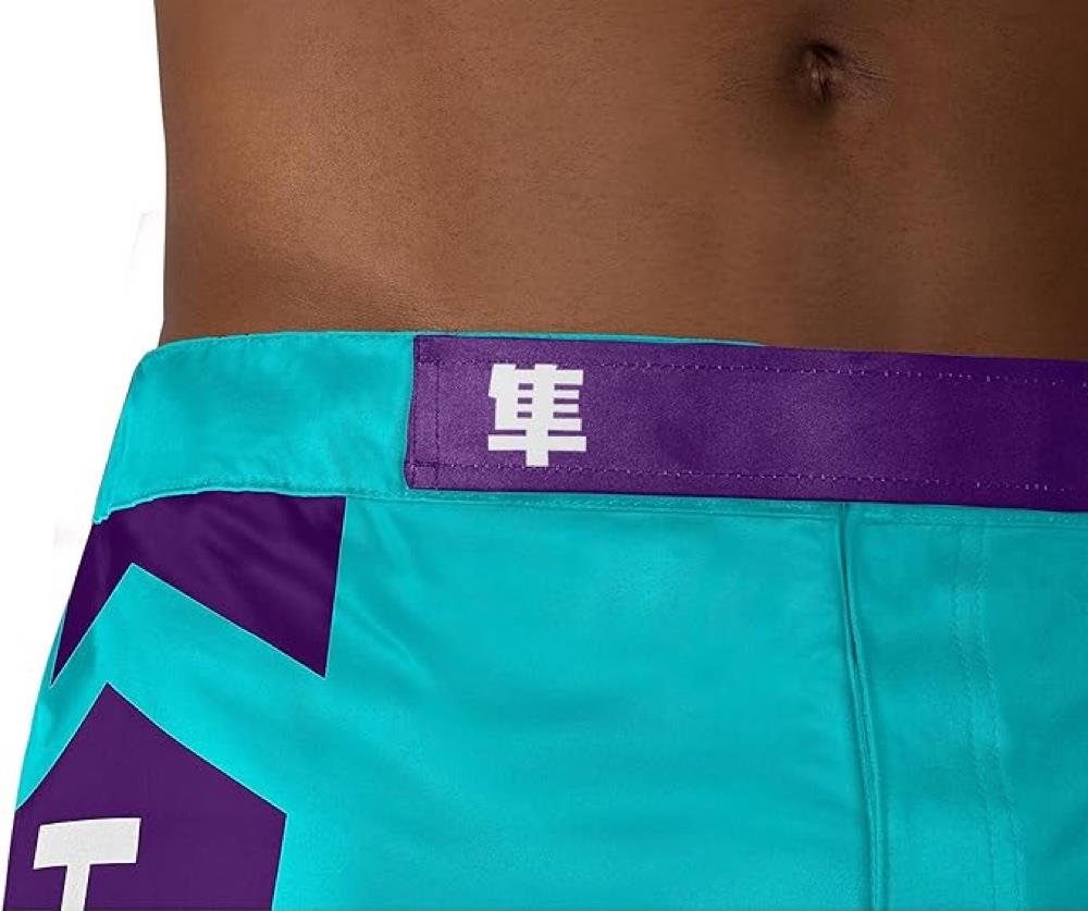 Hayabusa Icon Mid-Thigh MMA Shorts - Teal/White-Hayabusa