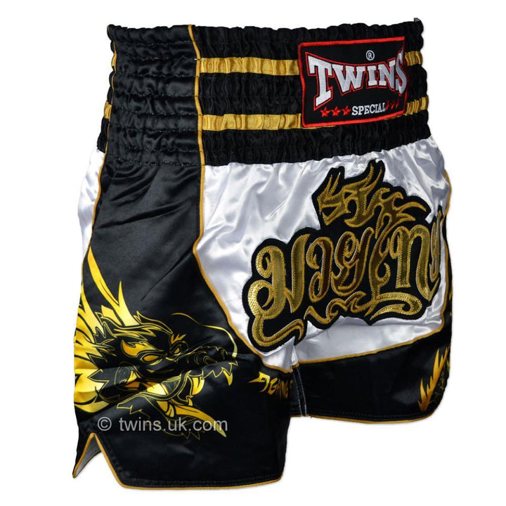 Twins Dragon Muay Thai Shorts-Twins